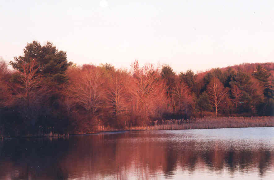fall-trees-across-lake.jpg
