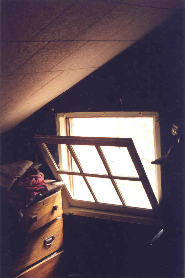bedroom-window.jpg