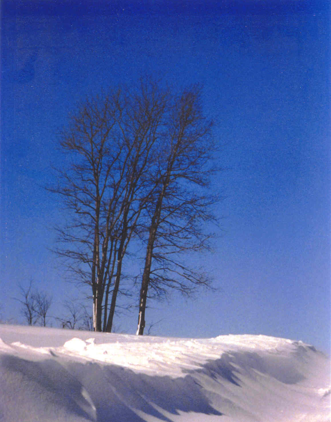 Pennsylvania Winter  1997.jpg